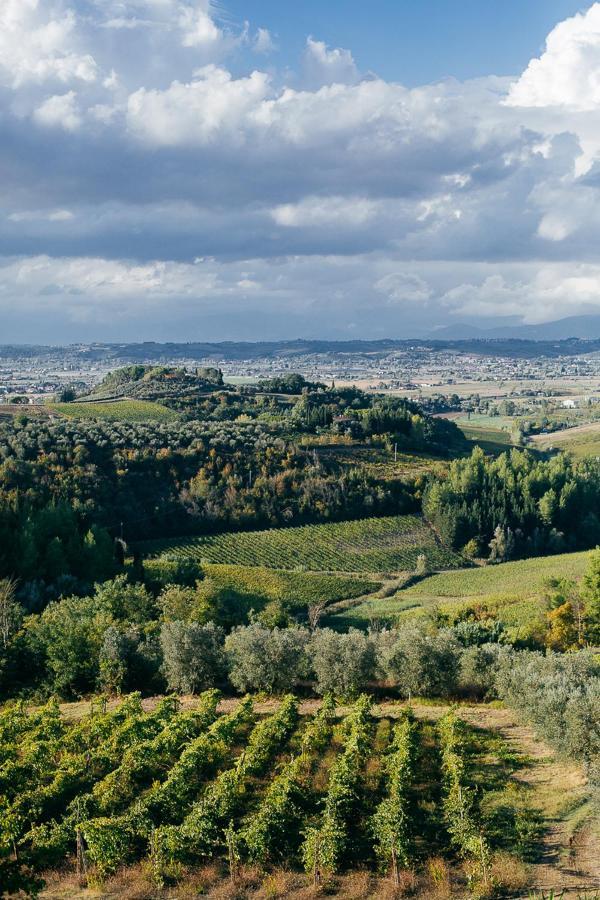 Agriturismo Bellavista San Miniato Ngoại thất bức ảnh