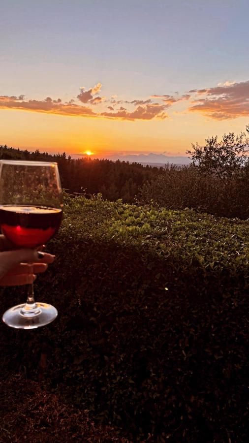 Agriturismo Bellavista San Miniato Ngoại thất bức ảnh